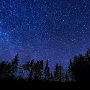 Meet your Posher, Mel